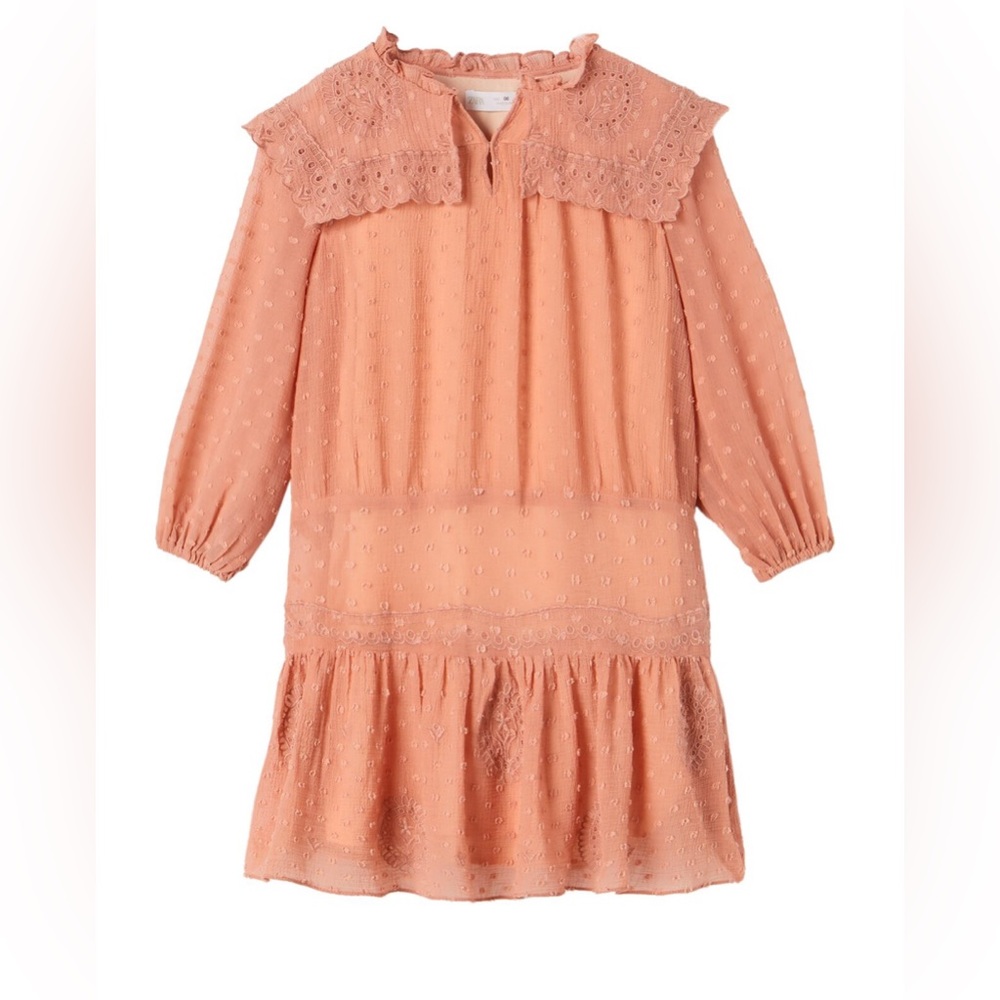 Zara Kid’s EMBROIDERED SWISS DOT DRESS